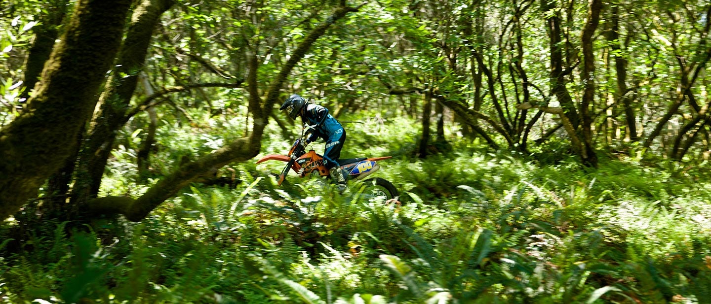 motor cross biker in the woods