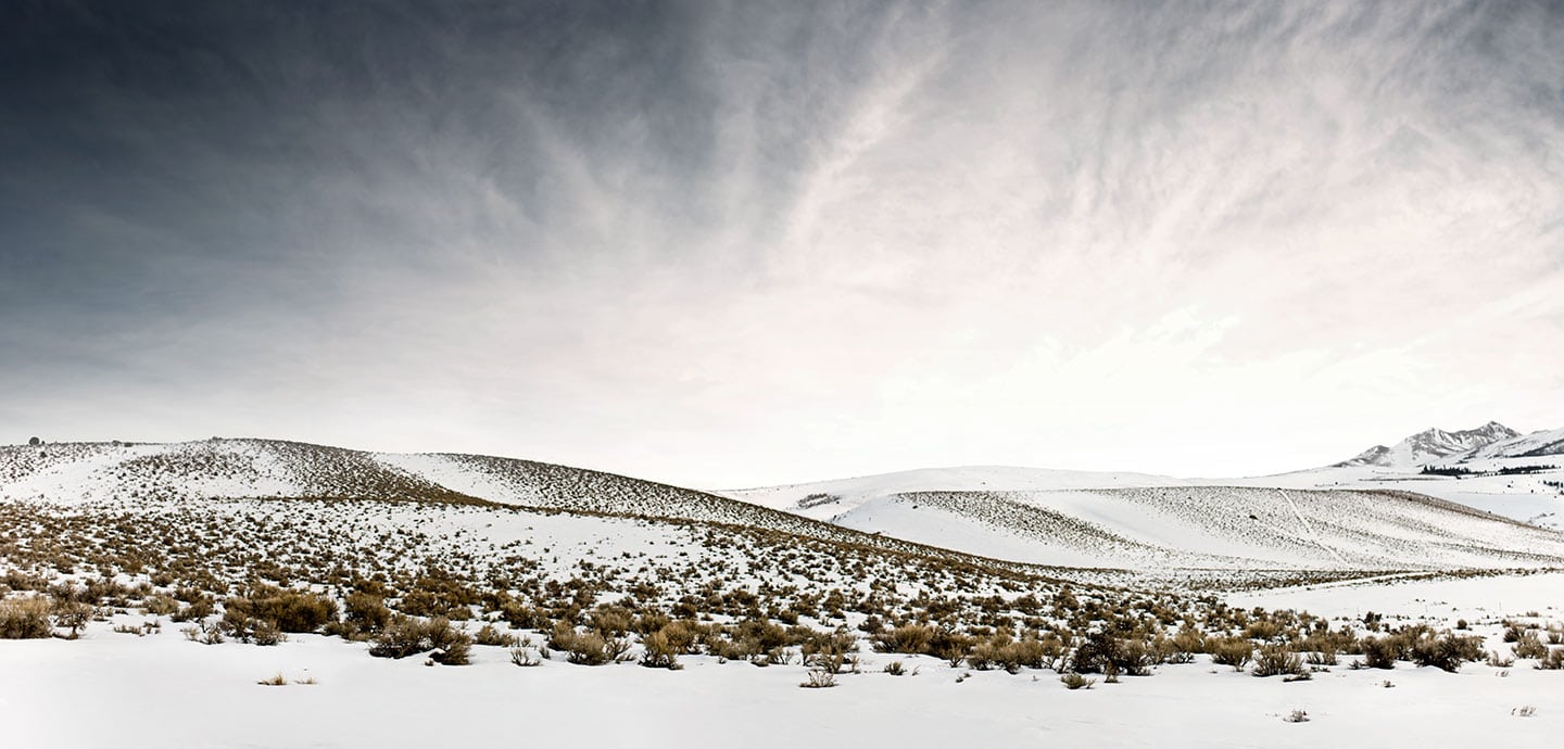 Rod Mclean - snowy field