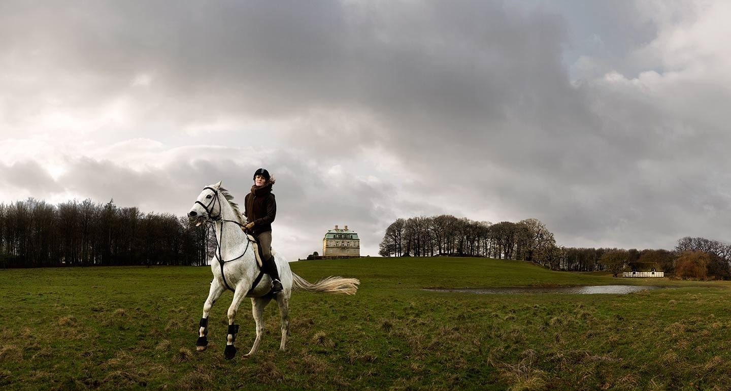 Rod Mclean - woman on a horse in a field