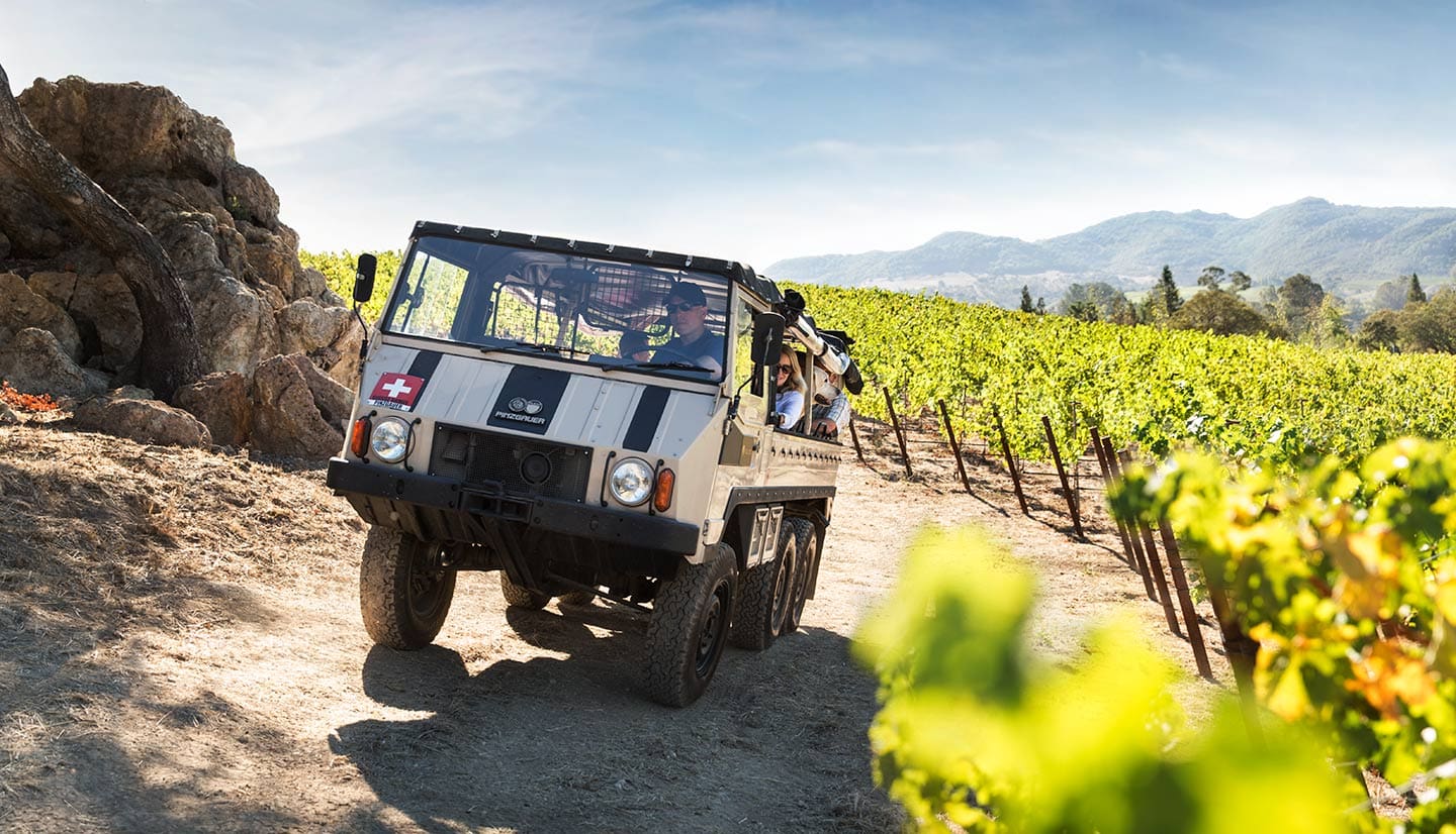 vineyards_pinzgauer_tour_Rod_McLean_g